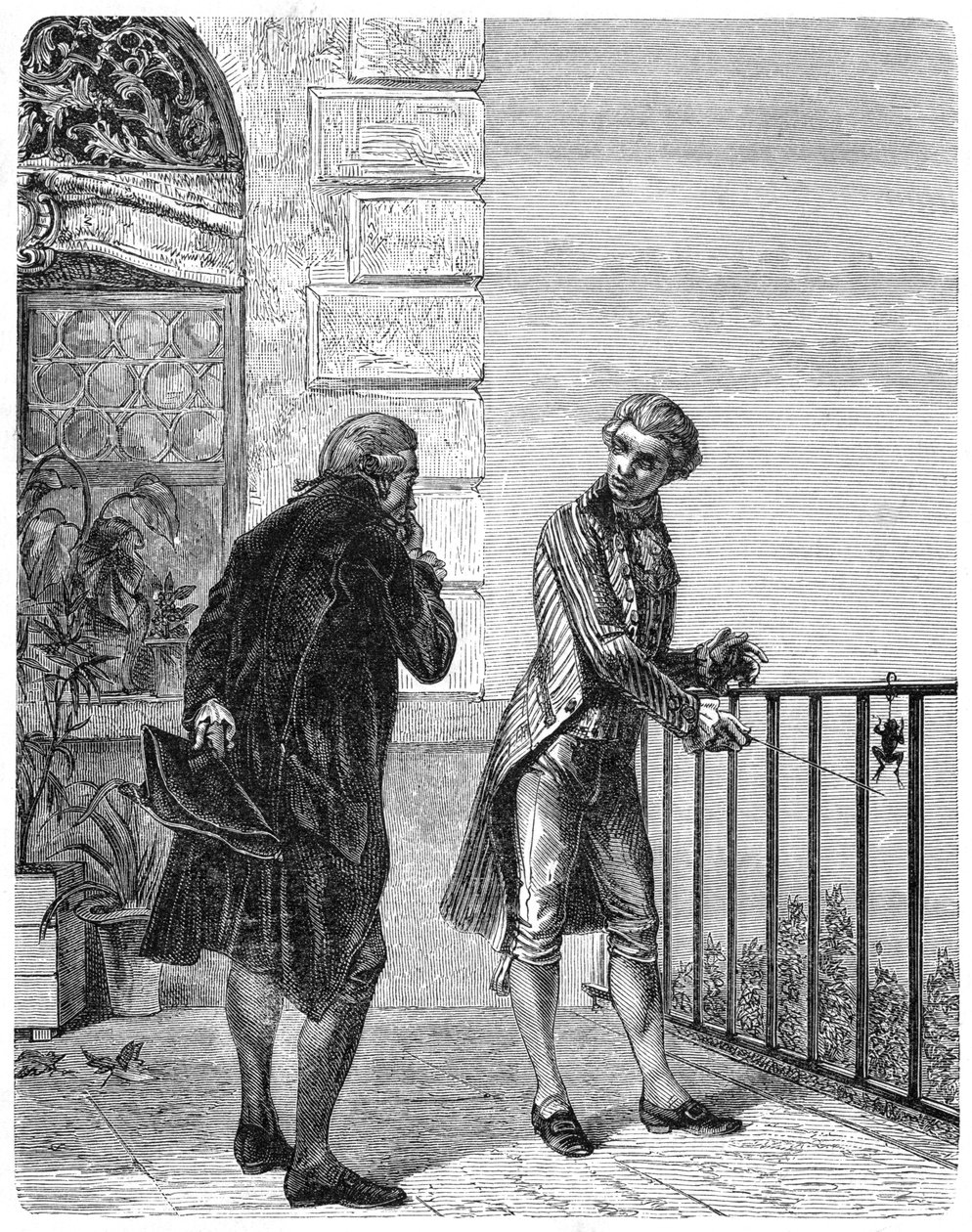 Luigi Galvani，18世纪的意大利生理学家，1880年 作者 不明