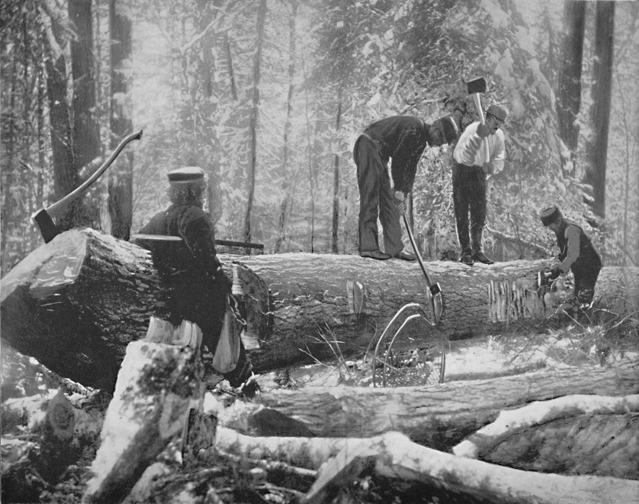 在加拿大渥太华河上伐木，c1897年。 作者 不明