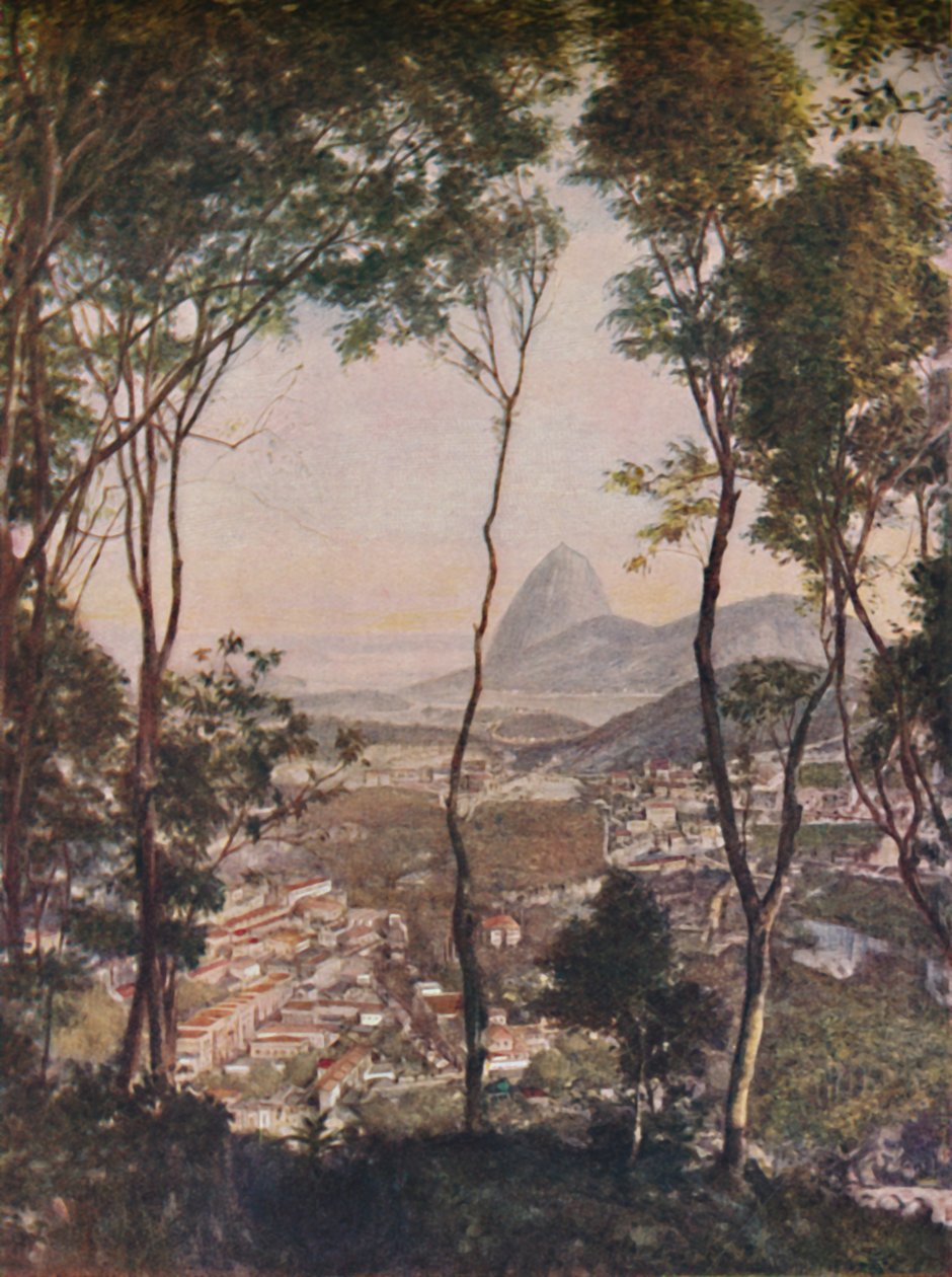 望着拉帕屋顶的圣特雷莎山上茂密的树林，大约建于1935年 作者 不明