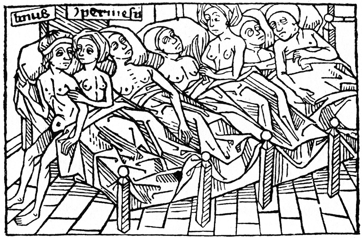 Lynceus和Hypermnestra，1479年，1964年。 作者 不明