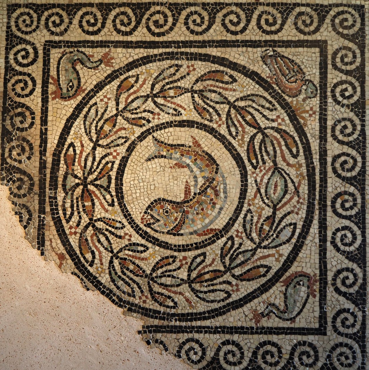 Lyon, region Auvergne, Rhone Alpes, departement du Rhone. 69000 Mosaique de Choulans, decouverte en 1967. Representant un poisson 作者 不明