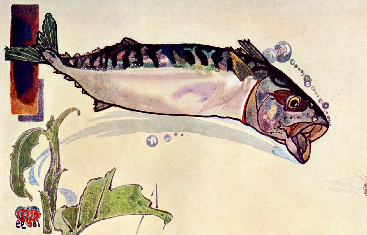 鲭鱼，1900 作者 不明