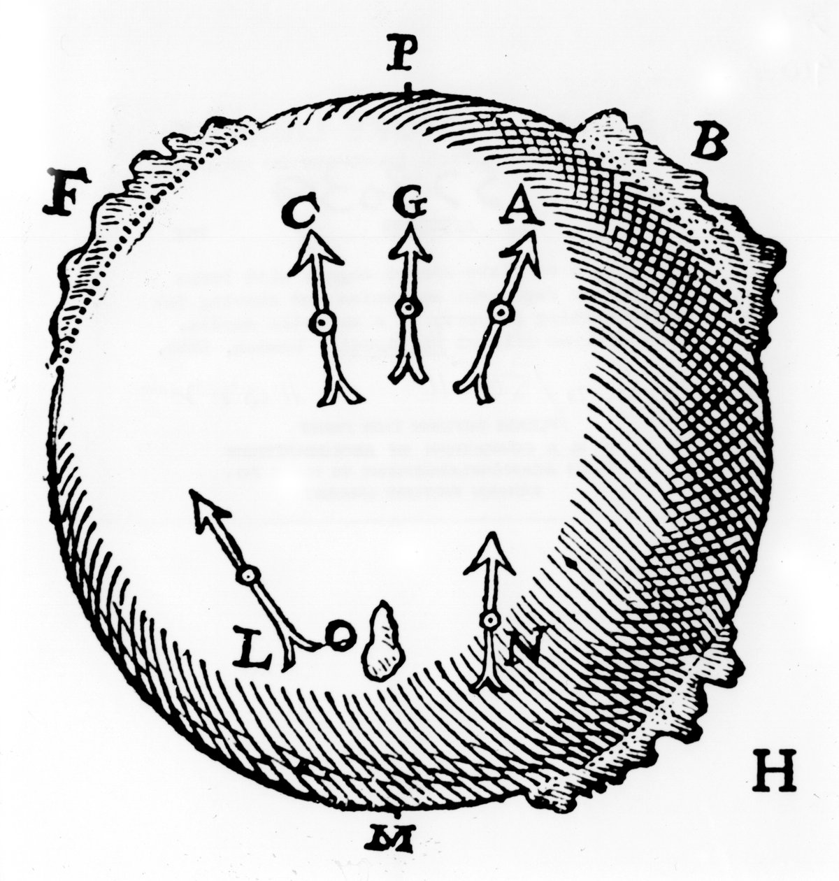 磁性，1600年 作者 不明