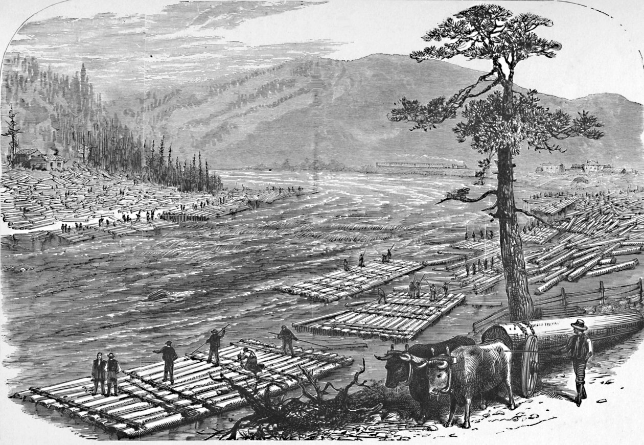 在萨斯奎哈纳河上编筏。 1883年伊利铁路线上的一幕 作者 不明