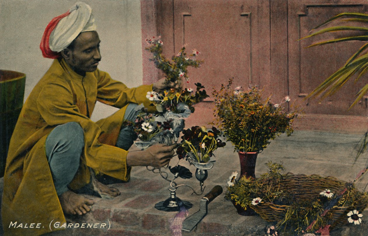 马雷园丁，c1910。 作者 不明