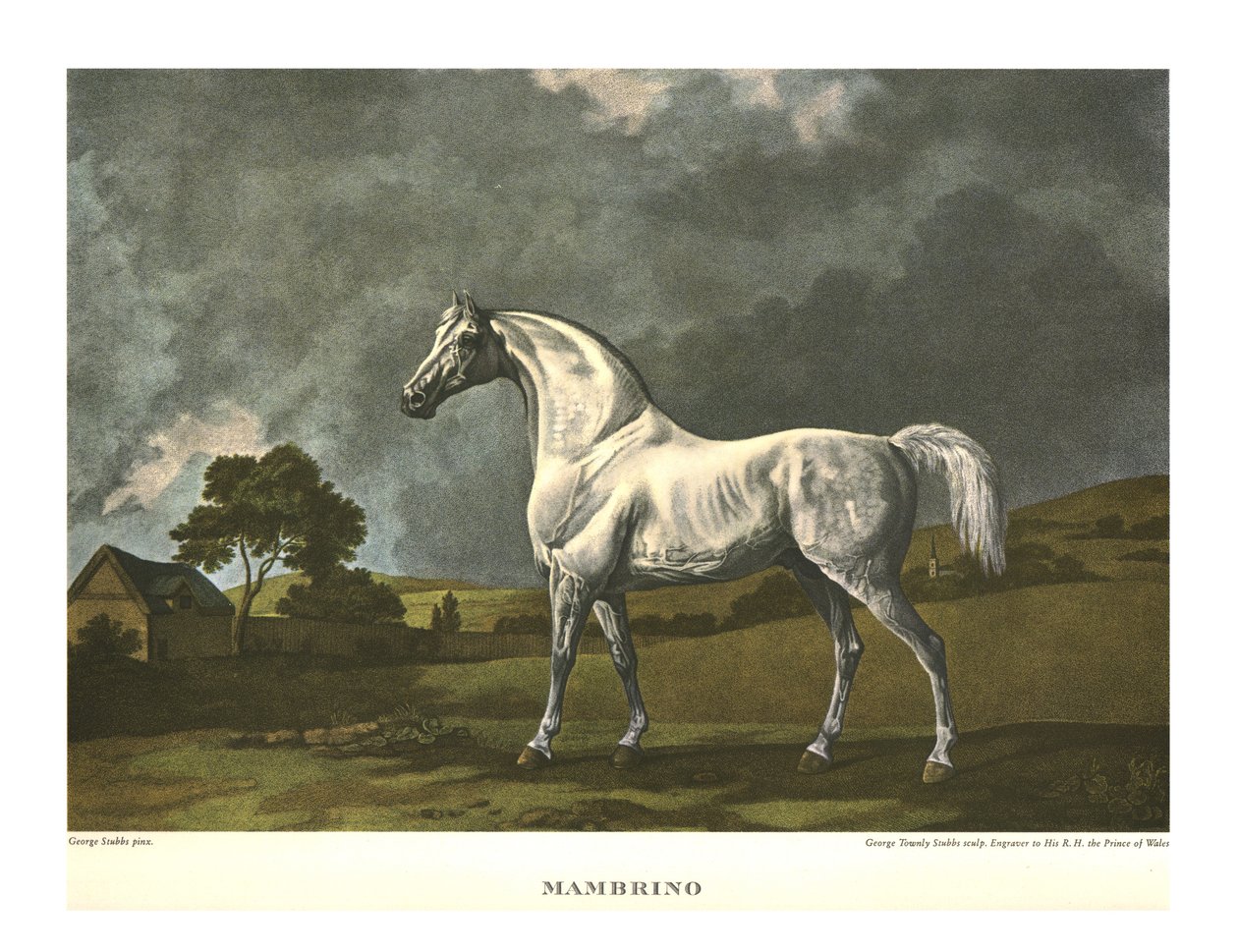 Mambrino，c1779，c1955。 作者 不明