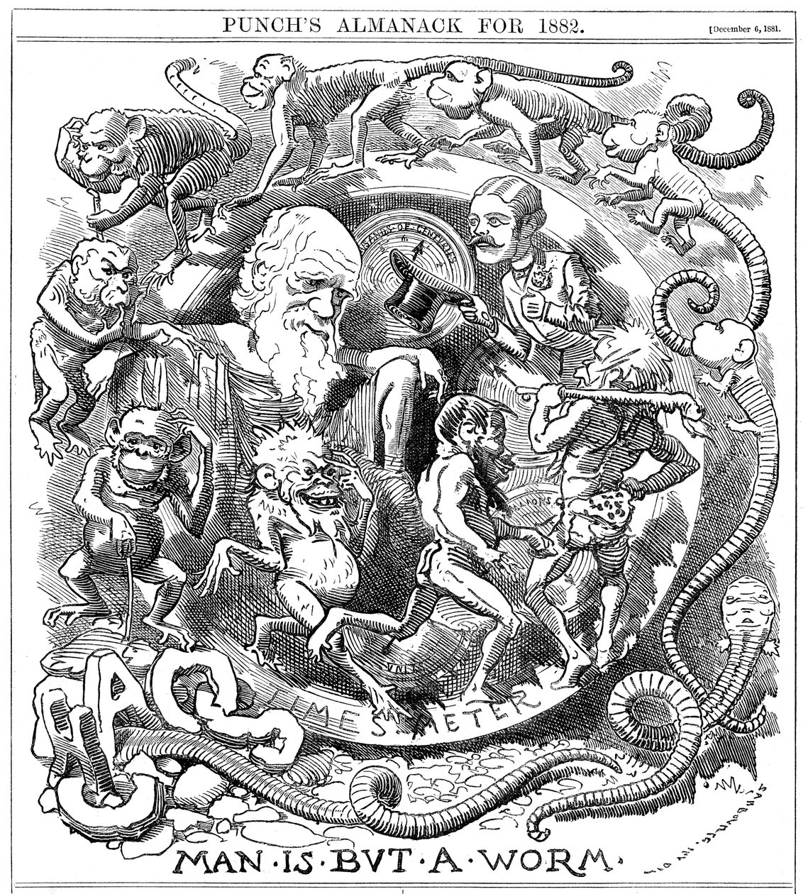 《人不过是蠕虫》，一部来自Punch的动画片，显示了从蠕虫到人的演变，1881 作者 不明