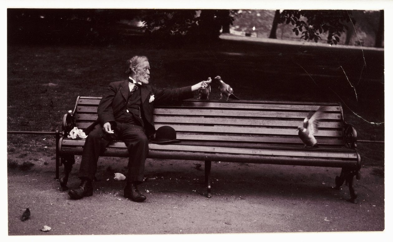 Man on a park bench, c 1920 A snapshot photograph of a man sitting on a park bench, feeding pigeons, taken by an unknown photographer in about 1920 作者 不明