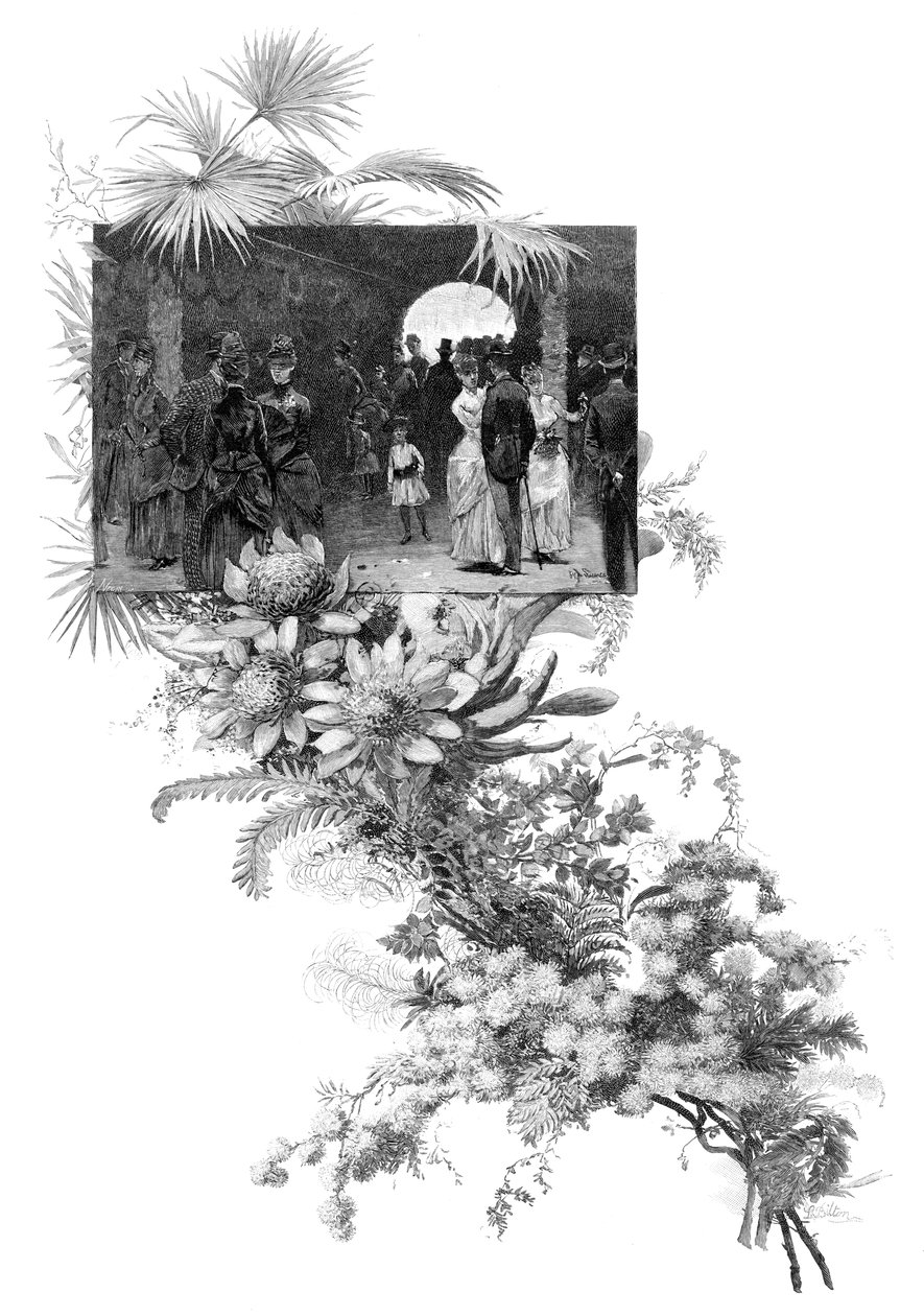 曼利野花展，澳大利亚新南威尔士州悉尼，1886年 作者 不明