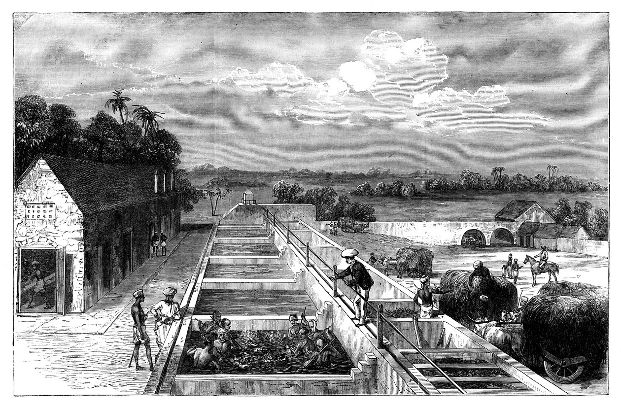 1869年在下孟加拉邦的提尔霍特·穆扎法尔布尔制造靛蓝 作者 不明