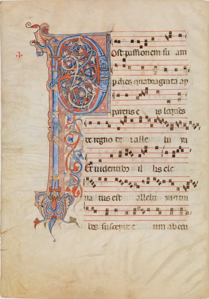带有叶状首字母P的手稿叶子，来自一本Antiphonary，约1250-60。 作者 不明
