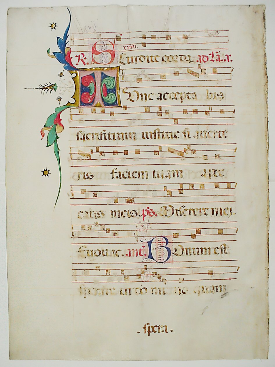 带有首字母T的手稿叶子，来自意大利的Antiphonary，15世纪。 作者 不明