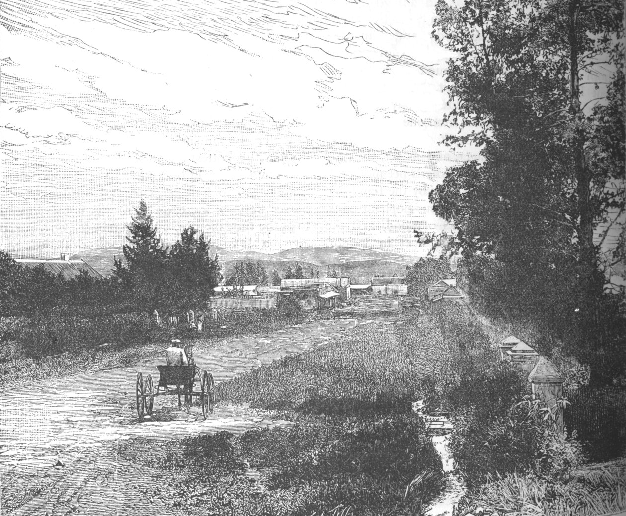 市场街，比勒陀利亚，c1880年代 作者 不明