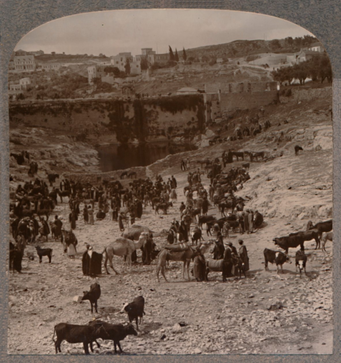 集市池集市日，c1900年 作者 不明