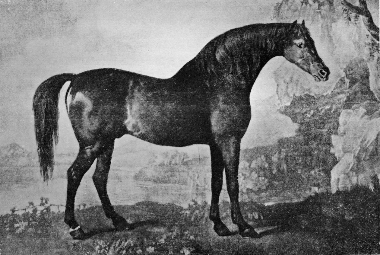 马斯克（1750-1779），1911年 作者 不明