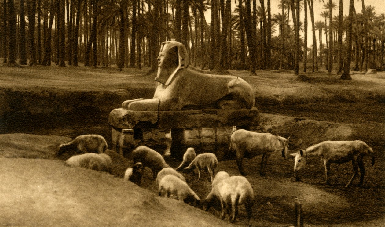 孟菲斯-雪花石膏狮身人面像，c1918-c1939。 作者 不明