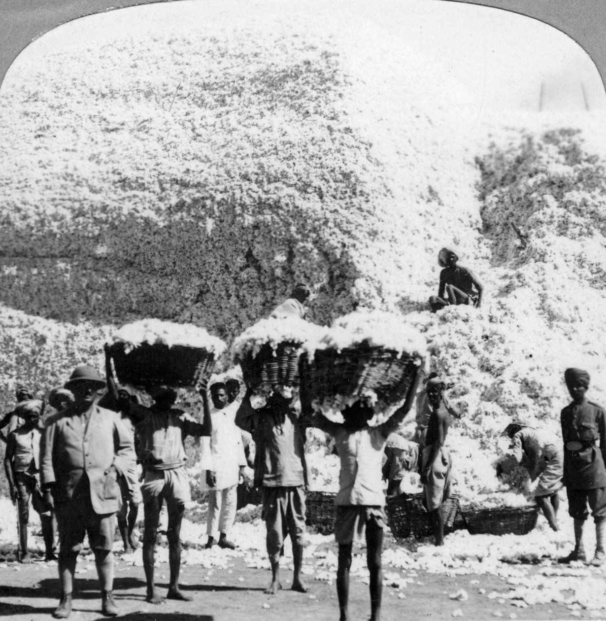 1900年代，印度印多尔棉纺厂的男子提着棉篮 作者 不明