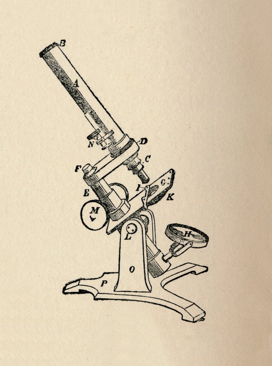 显微镜，1912年 作者 不明