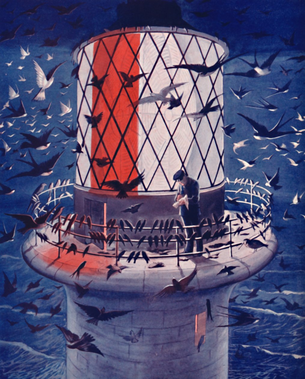 候鸟参观灯塔，1935年 作者 不明