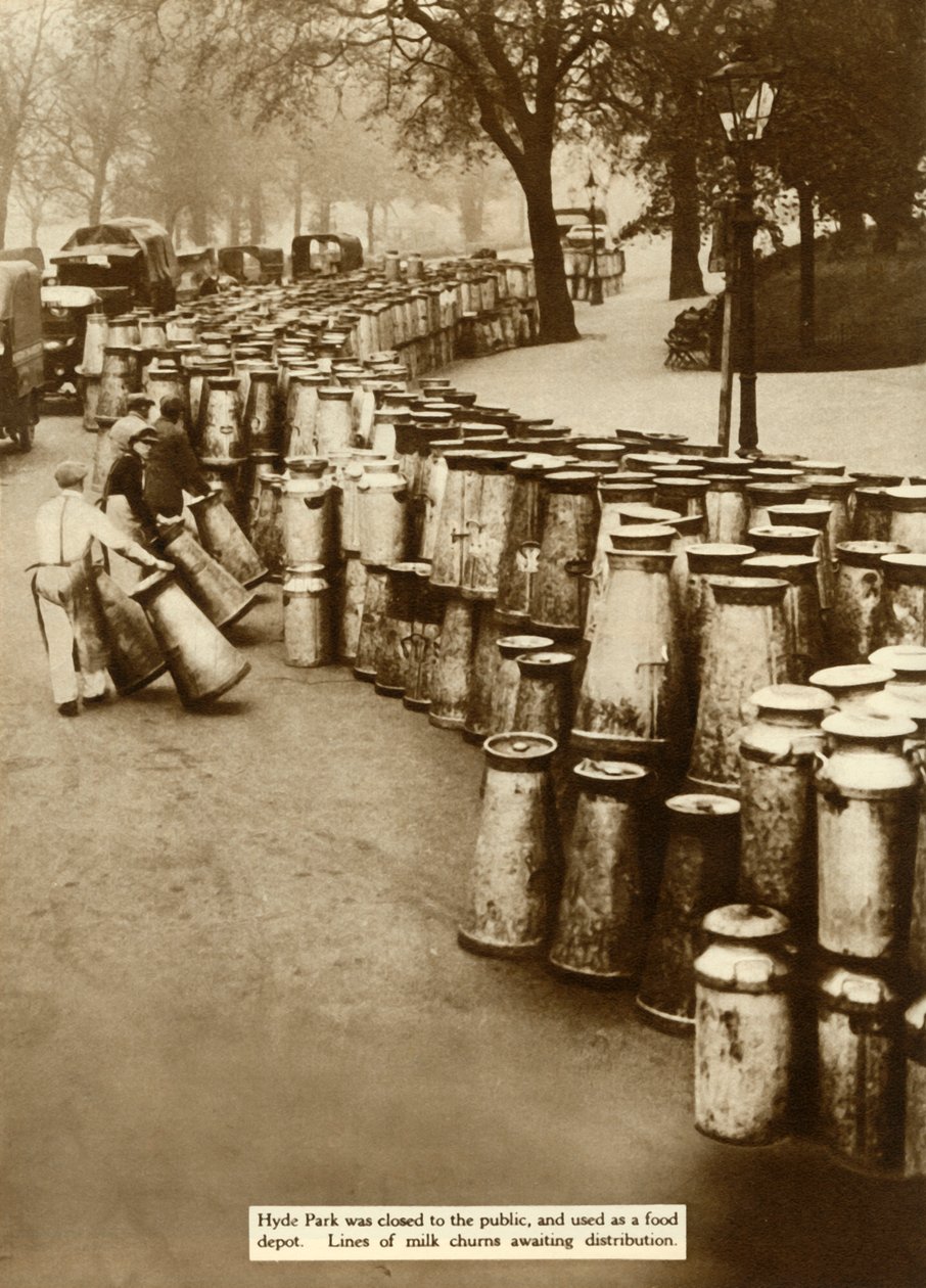大罢工期间，海德公园的牛奶搅动，1926年，伦敦，1935年。 作者 不明