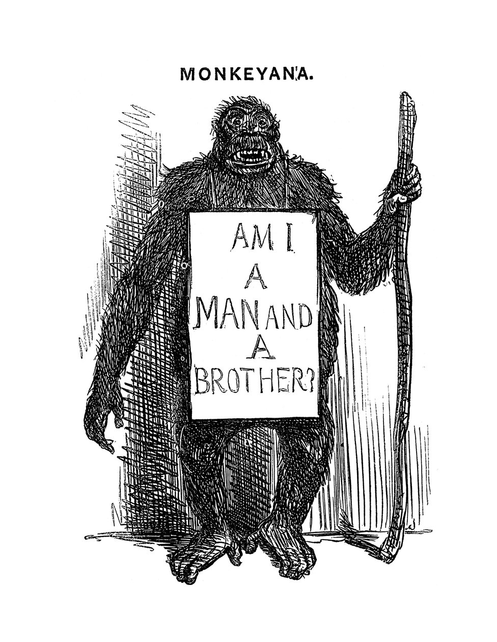 Monkeyana：我是男人还是兄弟，1861年 作者 不明