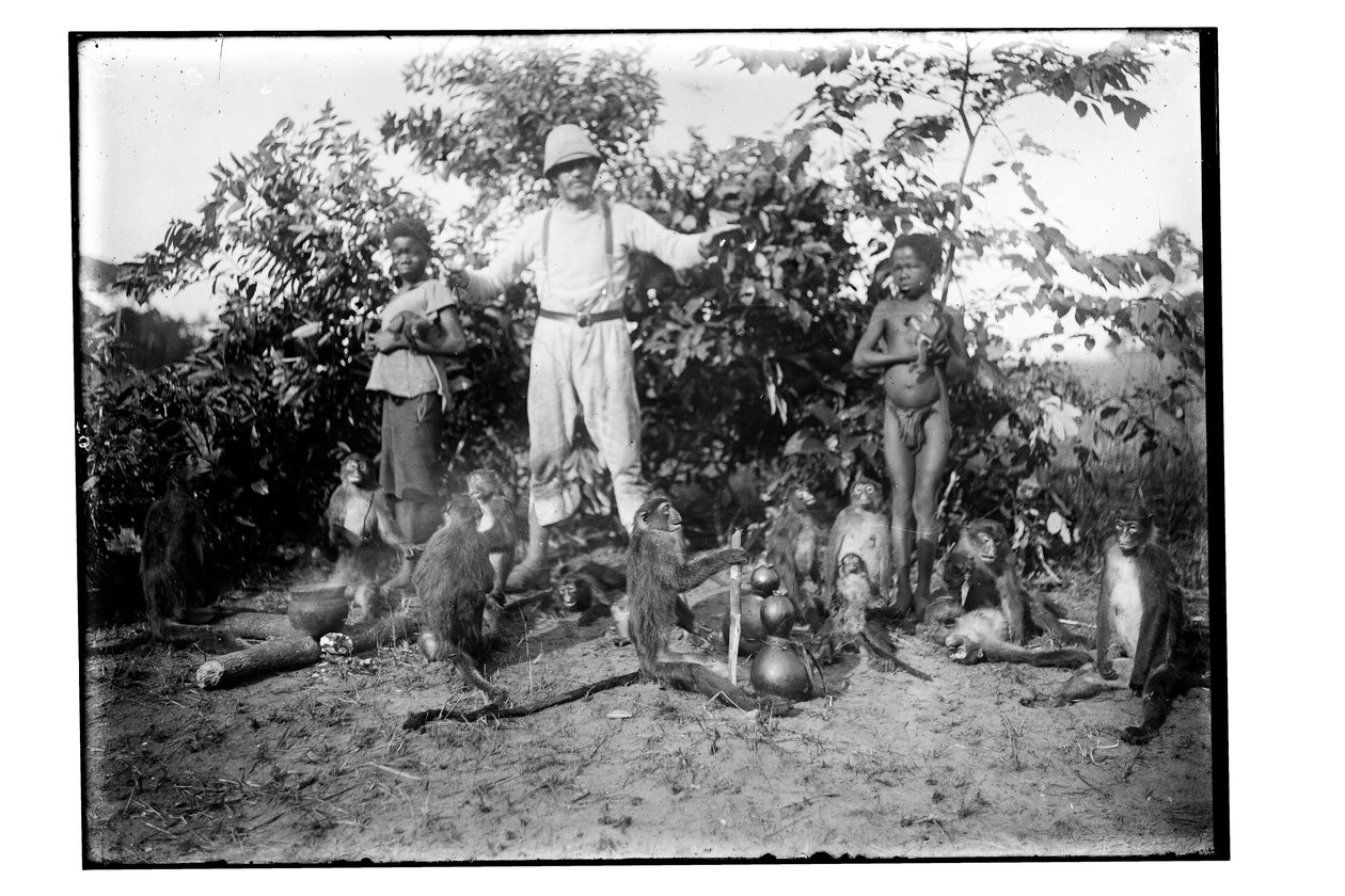 猴子，约1910年（黑白照片）。 作者 不明