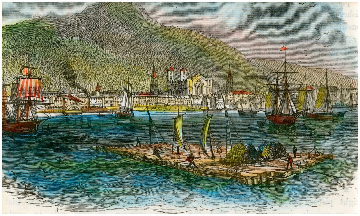 来自加拿大魁北克省圣劳伦斯河的蒙特利尔，建于1880年 作者 不明