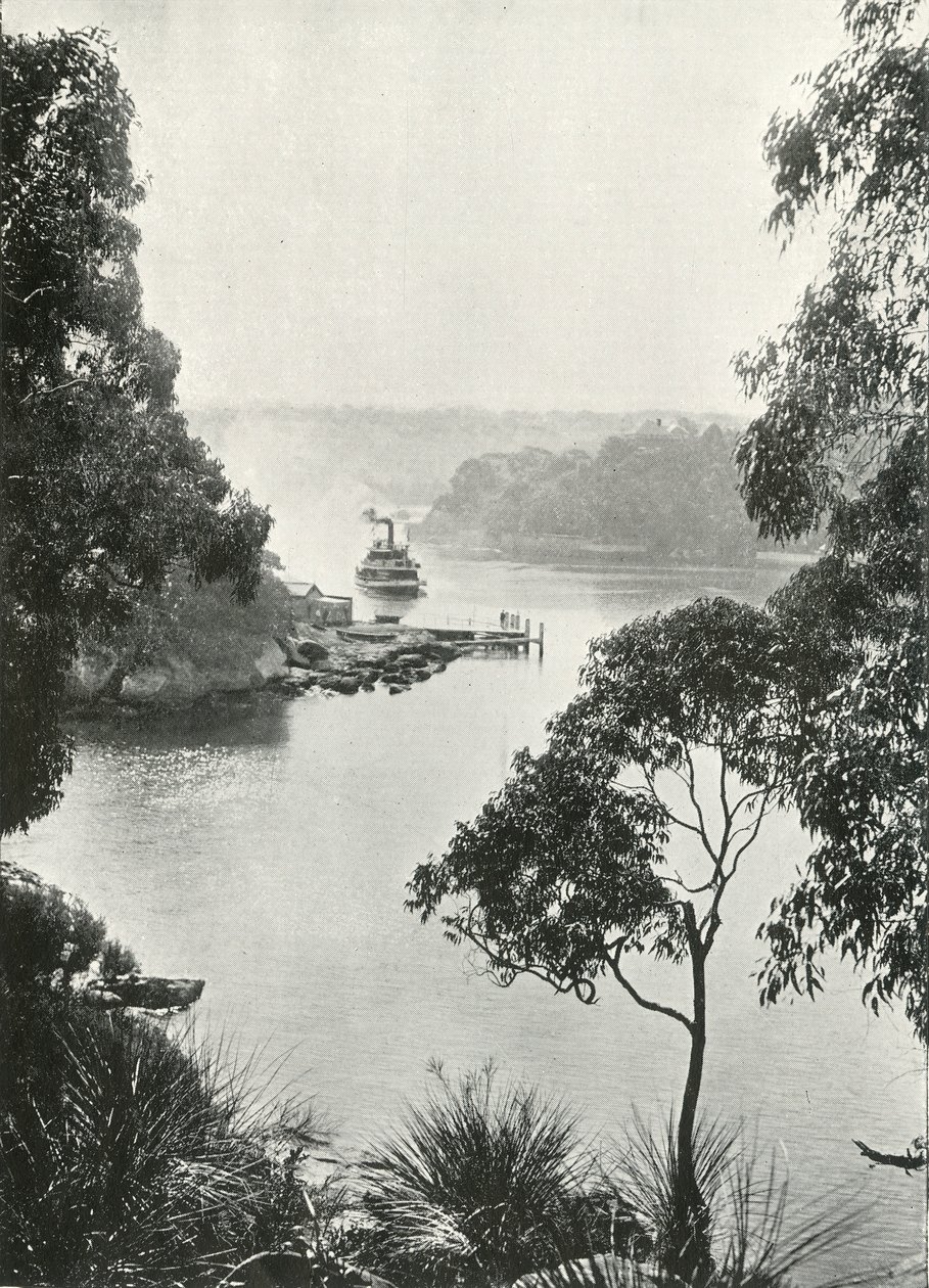 莫斯曼斯湾（Mosmans Bay），来自Cremorne码头，摄于1900年。 作者 不明