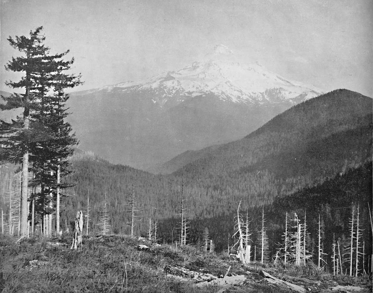 俄勒冈州胡德山，大约1897年。 作者 不明