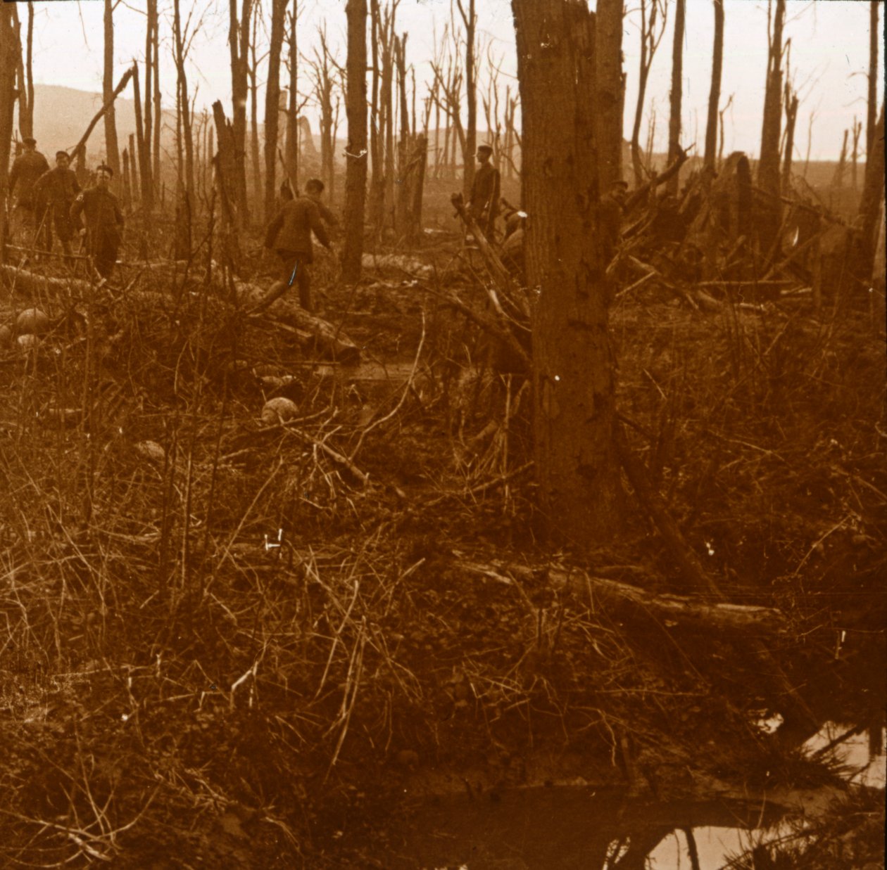 比利时法兰德斯凯末尔山（Mount Kemmel），c1914-c1918 作者 不明
