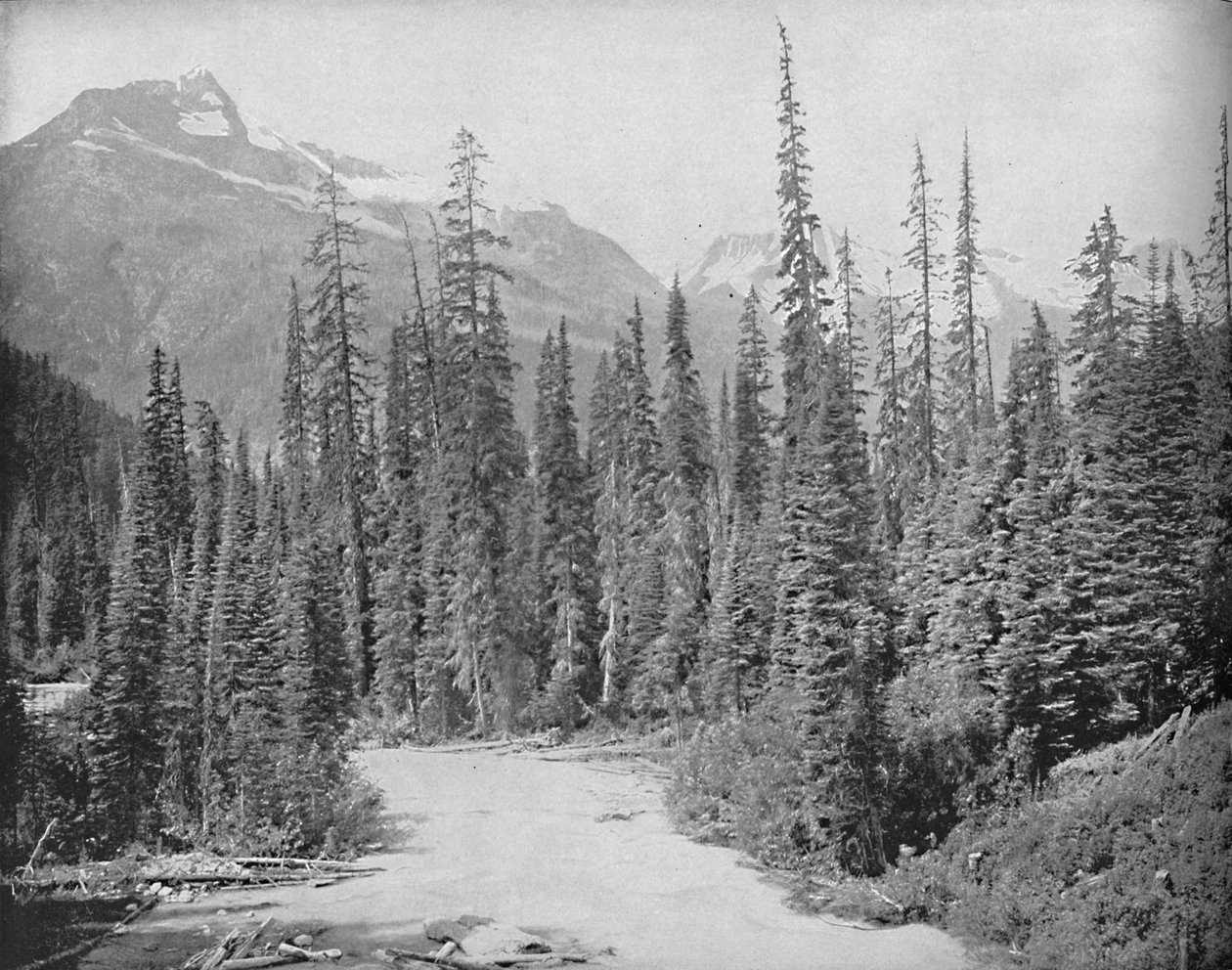 洛基山脉的塞尔柯克山脉的基普斯和隐士山，摄于1897年。 作者 不明