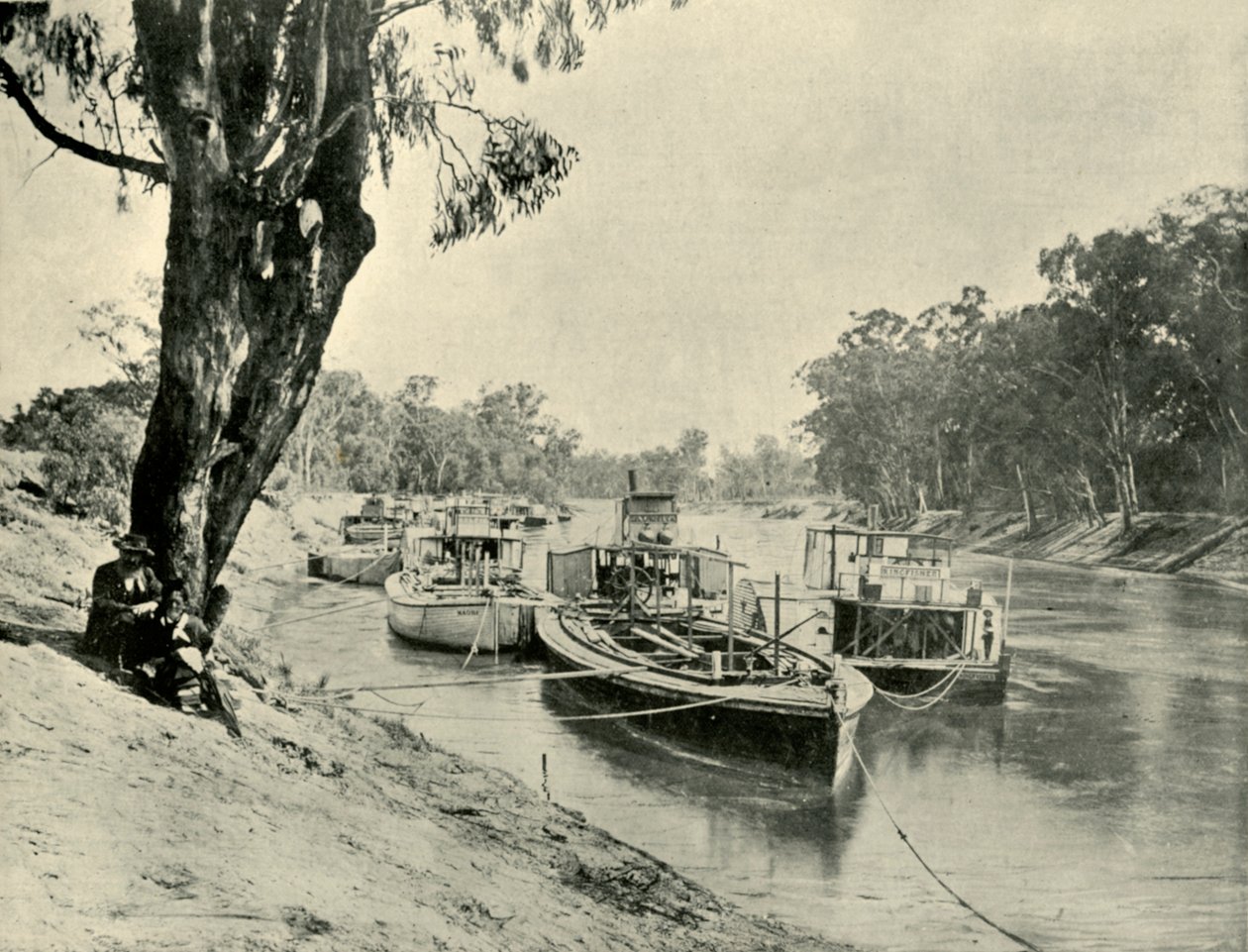 1901年，埃里卡（Echuca）的穆雷（Murray）驳船和汽船。 作者 不明