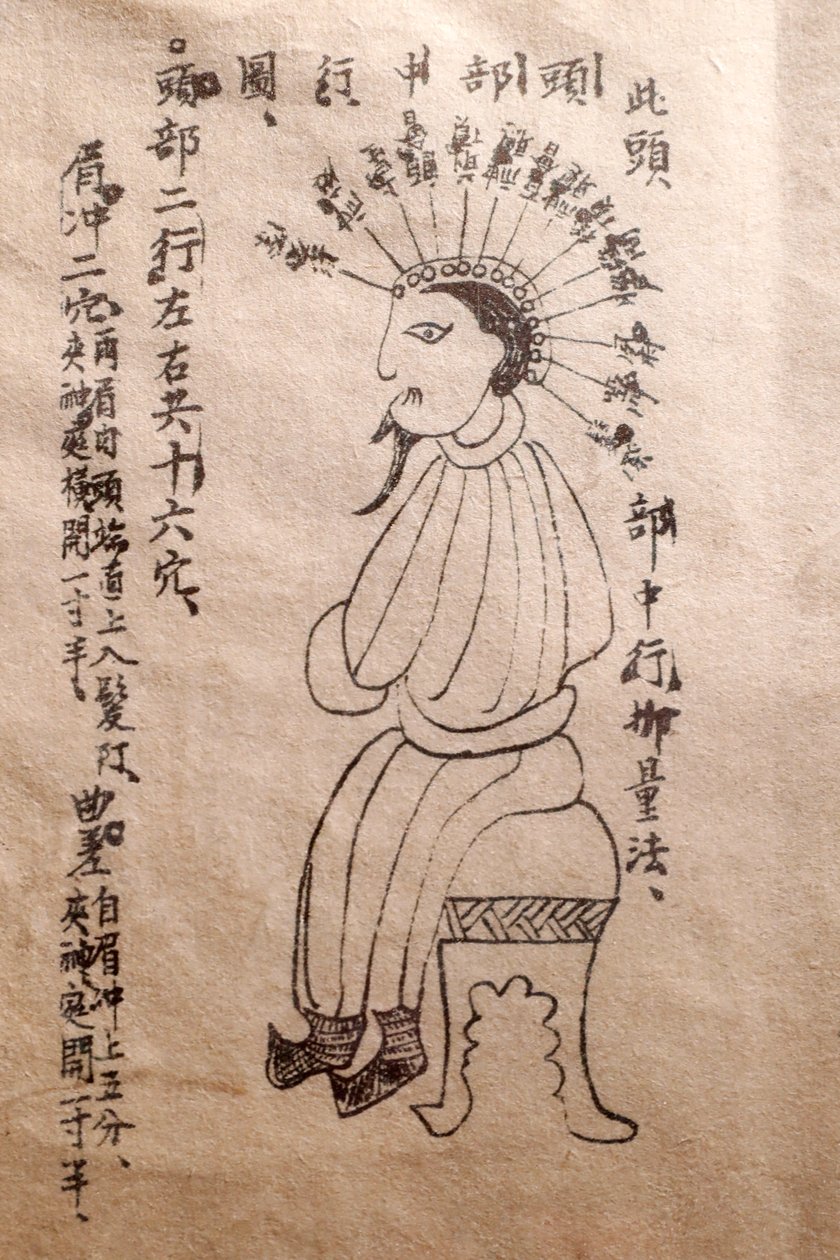 越南传统医学博物馆，经脉，针灸书，越南胡志明市 作者 不明