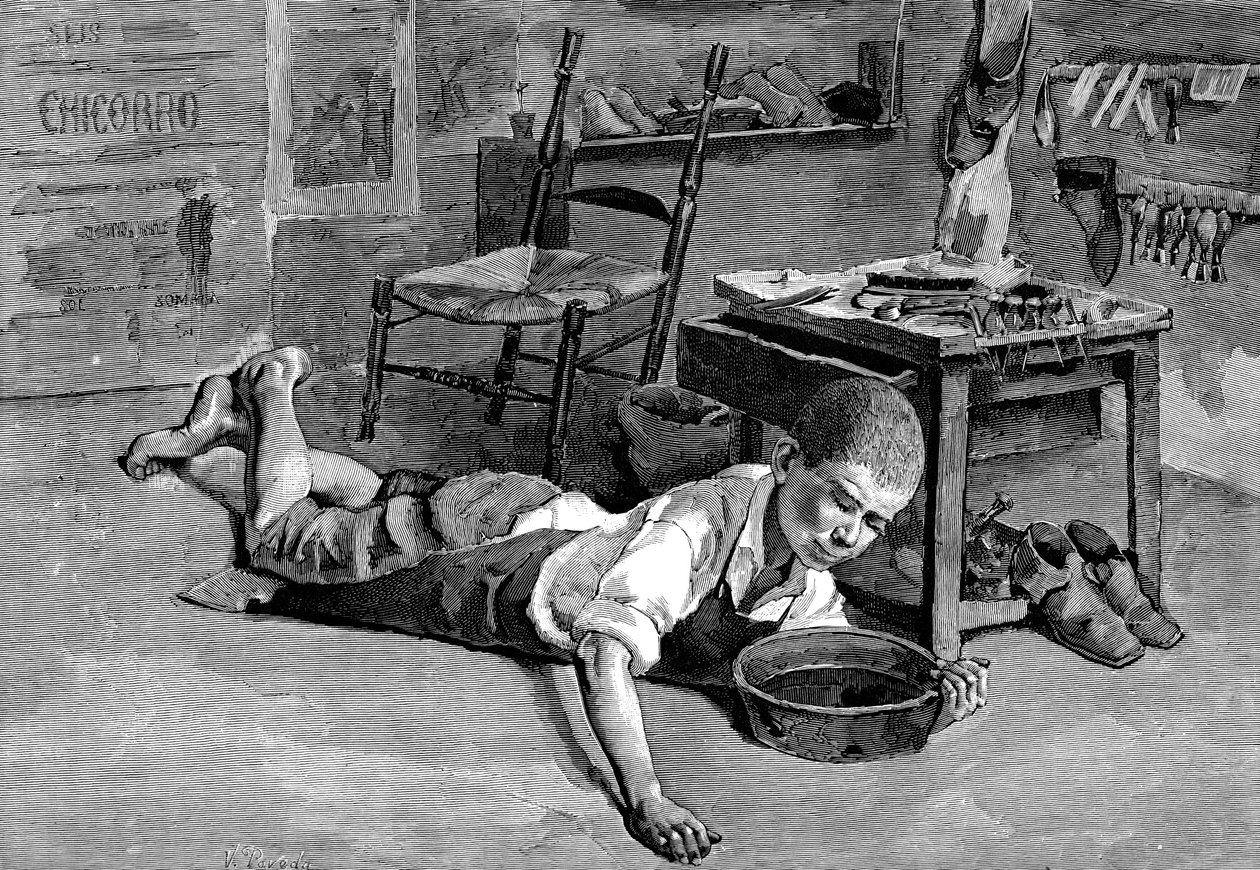 水仙，1882年 作者 不明