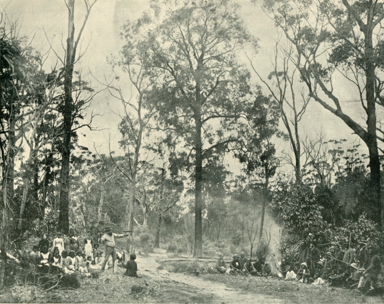 泰勒斯湖（Lake Tyers）的《本土体育》，1901年。 作者 不明