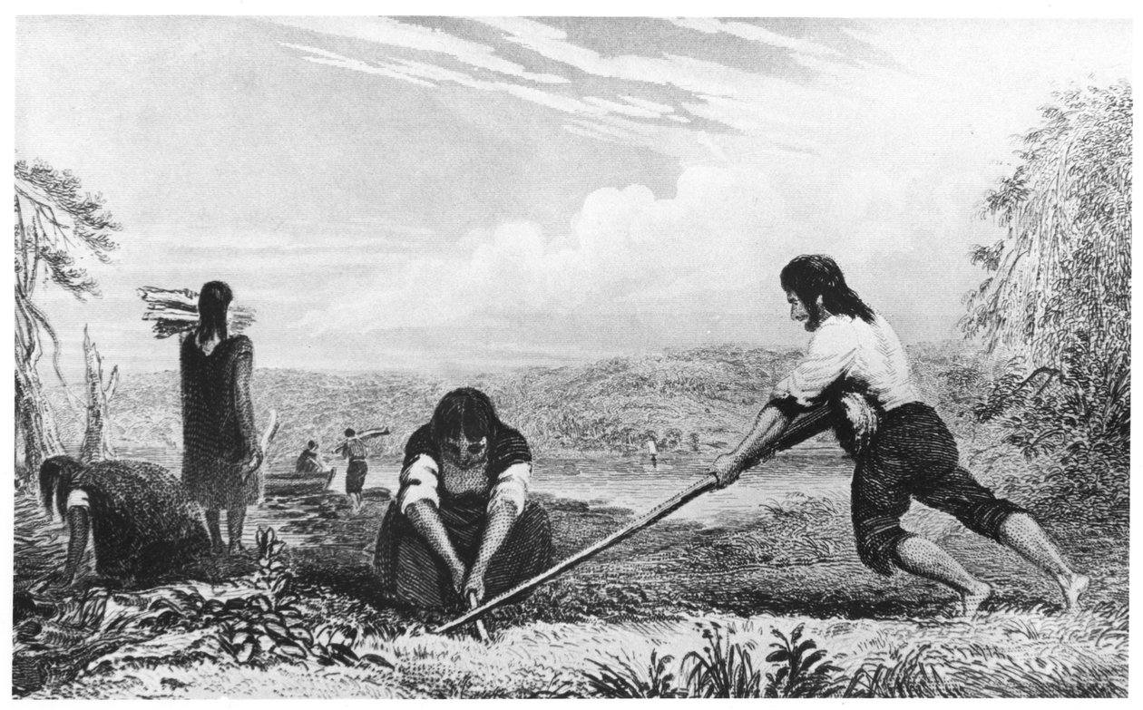 巴塔哥尼亚奇洛埃（Chloe）的本地人，使用犁pl，1839年 作者 不明