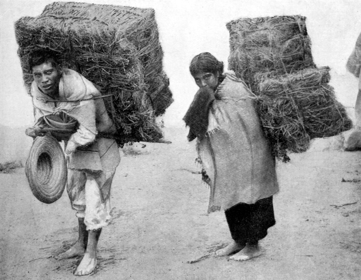 墨西哥人，1926年 作者 不明