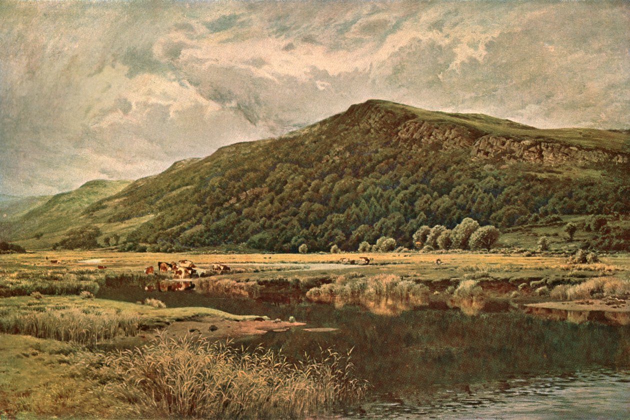自然镜，1882，c1902。 作者 不明