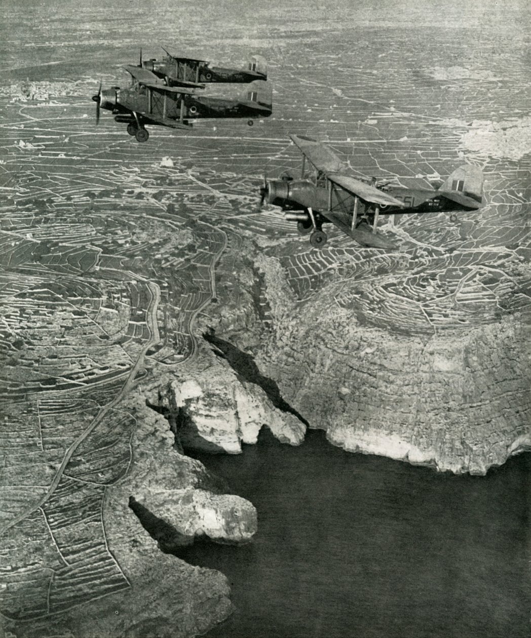 海军长鳍突击队是突击部队的一部分，c1942-1943，1945年。 作者 不明