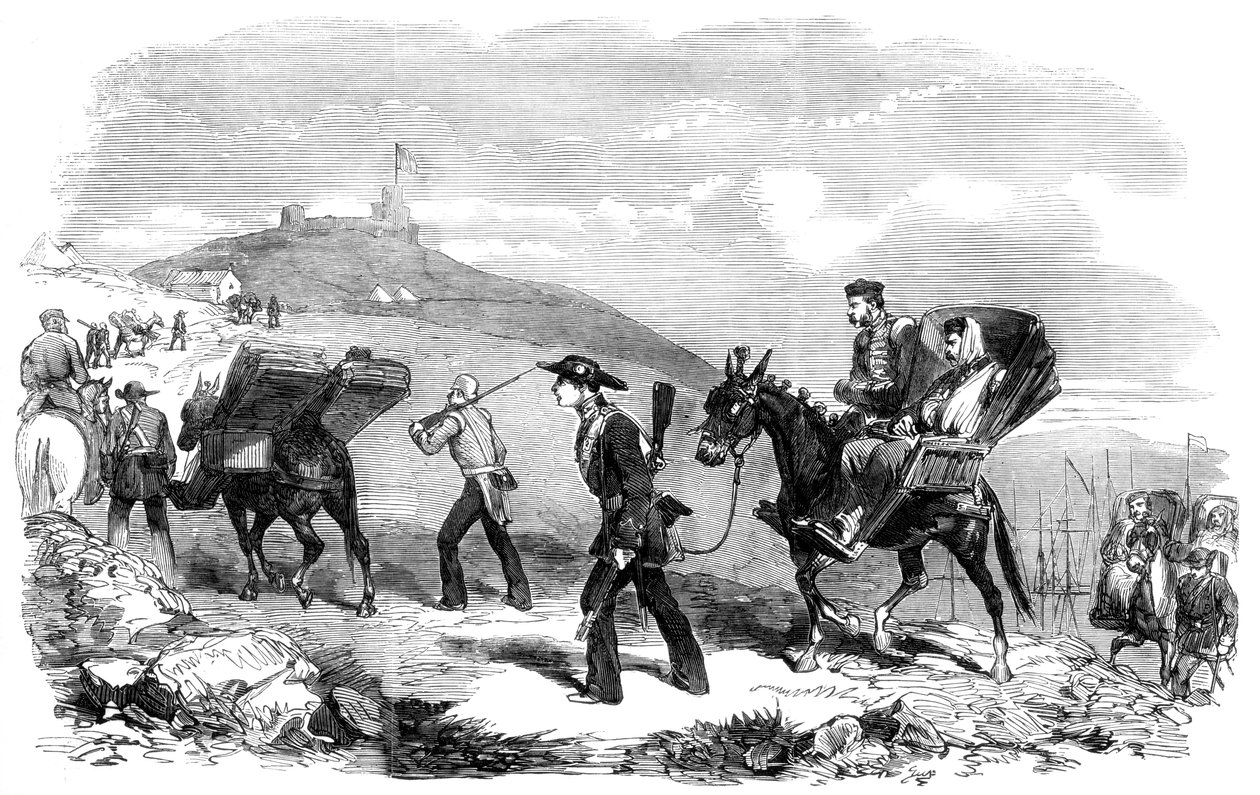 新的救护车运输服务，1855年 作者 不明