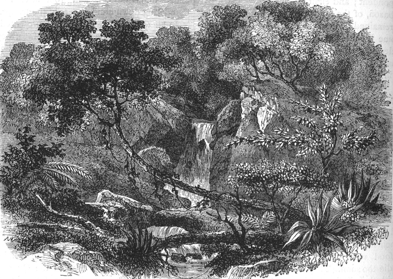 新西兰风景，c1880 作者 不明