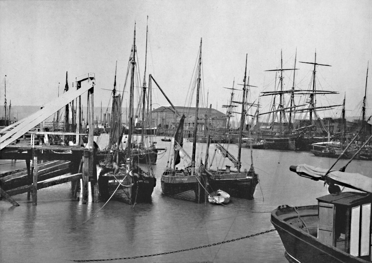 纽黑文-海港，1895年 作者 不明