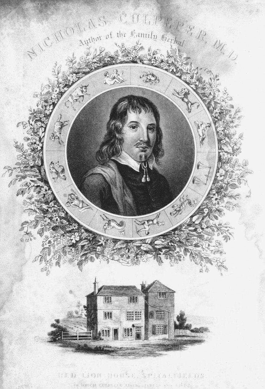 尼古拉斯·卡珀珀（Nicholas Culpepper），c1650十九世纪 作者 不明