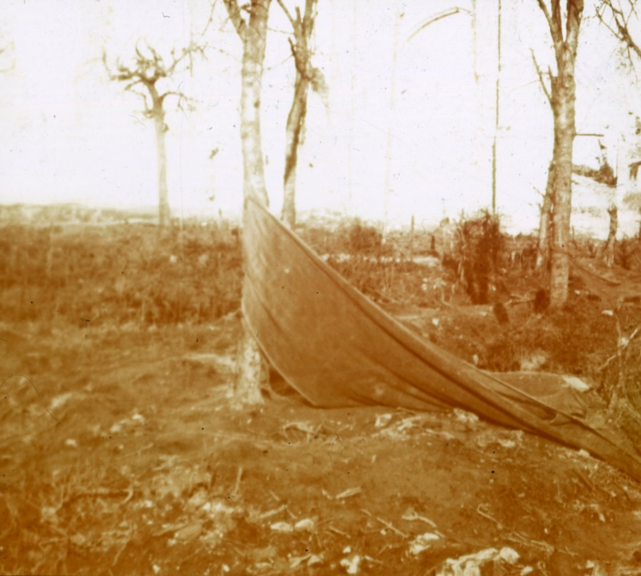 Noordschote，法兰德斯，比利时，c1914-c1918 作者 不明