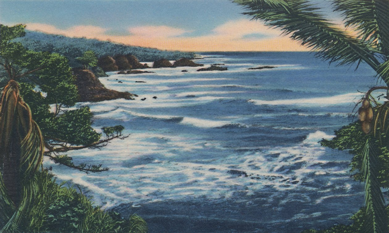 北海岸，特立尼达，BWI，c1940年代。 作者 不明