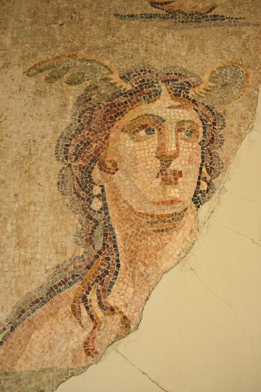 Oceanus 和 Thetis Mosaic，来自土耳其伊斯肯德鲁姆 作者 不明