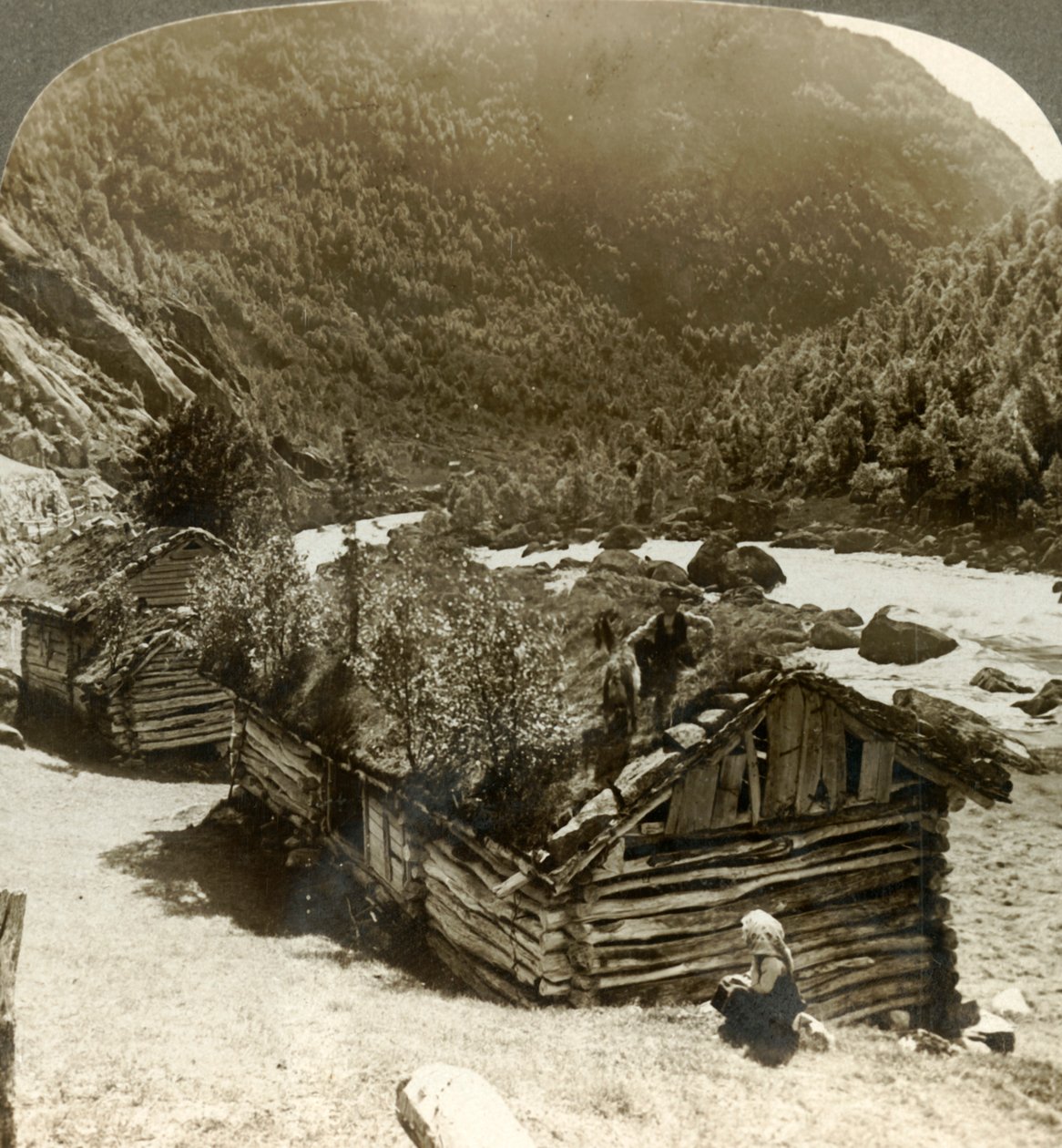 老木屋在Bratslandsdal，有树生长在草皮隐蔽的屋顶的，挪威，c1905。 作者 不明