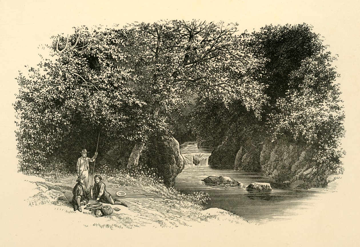 在达令（Dargle），大约在1890年。 作者 不明