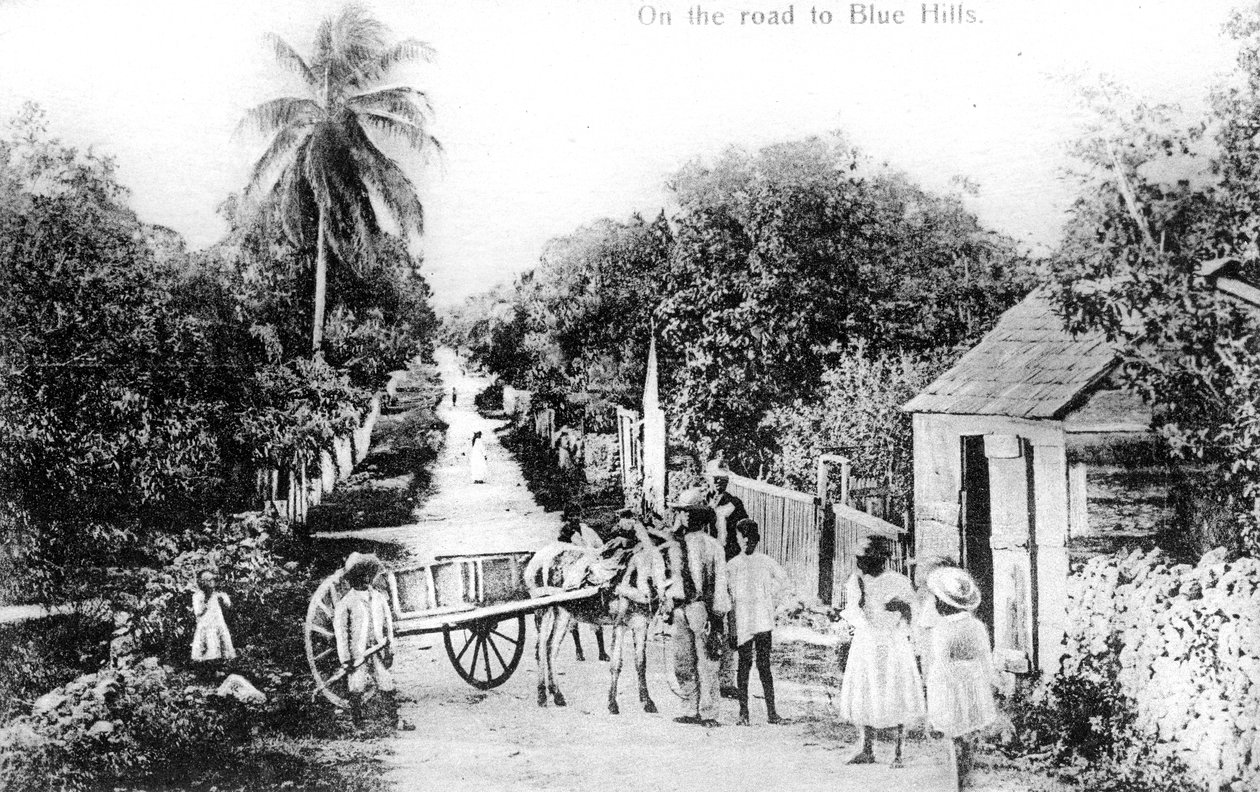 在通往巴哈马蓝山的路上，大约在1900年代 作者 不明