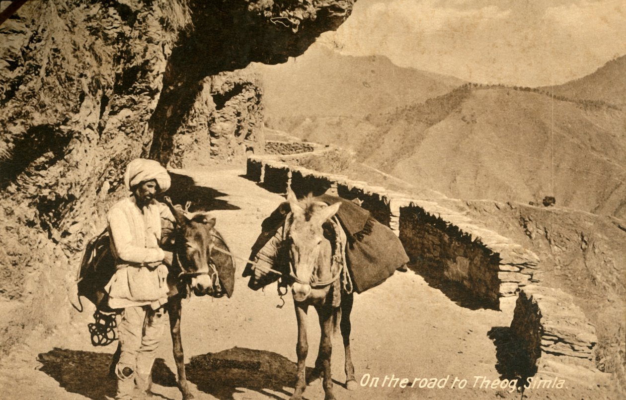 在通往西格（Theog）的路上，西姆拉（c1918-c1939）。 作者 不明